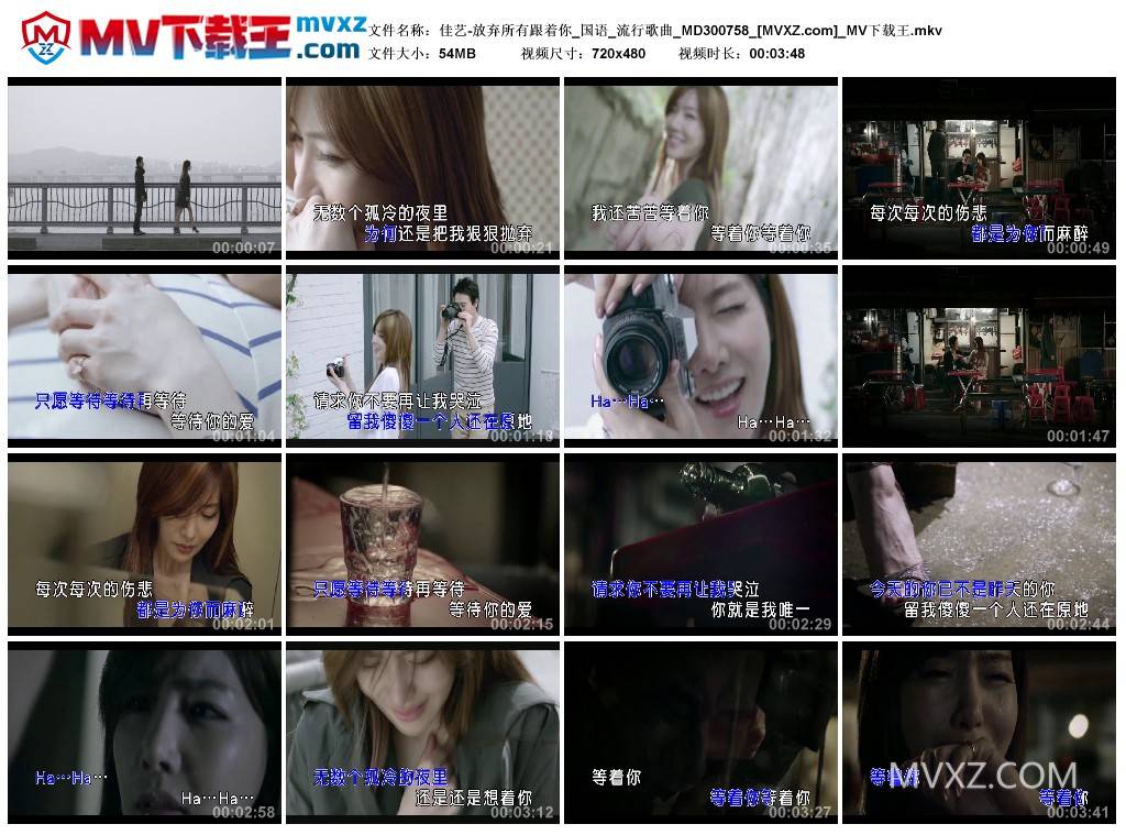 佳艺-放弃所有跟着你_国语_流行歌曲_MD300758